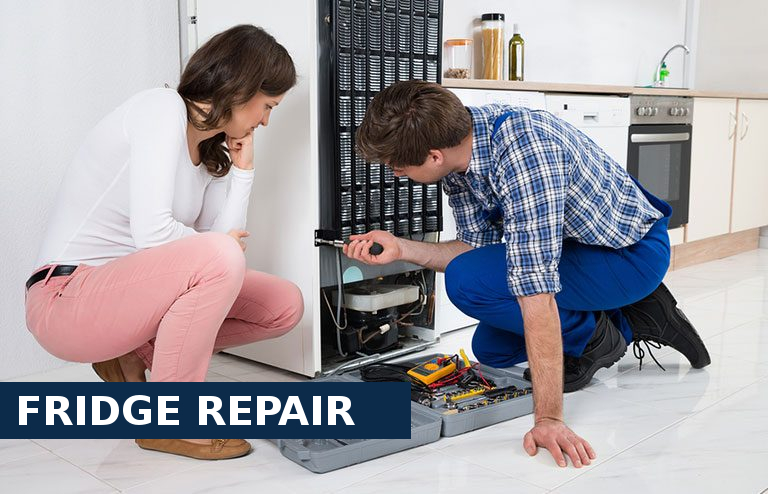 Fridge Repair Notting Hill